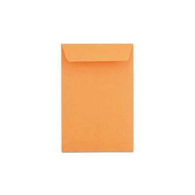 Catalog Envelope, #55, 6 x 9, Brown Kraft, 500 / Box Catalog Envelope, #55, 6 x 9, Brown Kraft, 500 / Box
